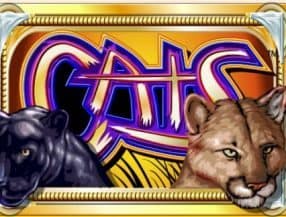 casino and slots